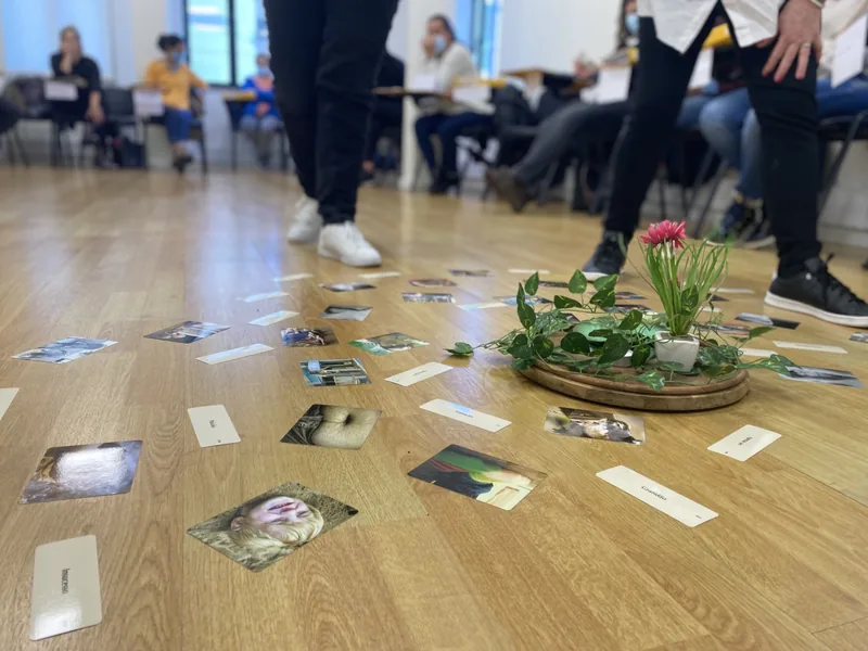 Cartões de imagens dispostos em roda no chão da sala, à volta de um arranjo de flores